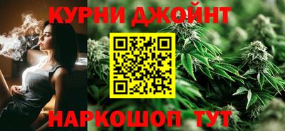 сатива Белореченск