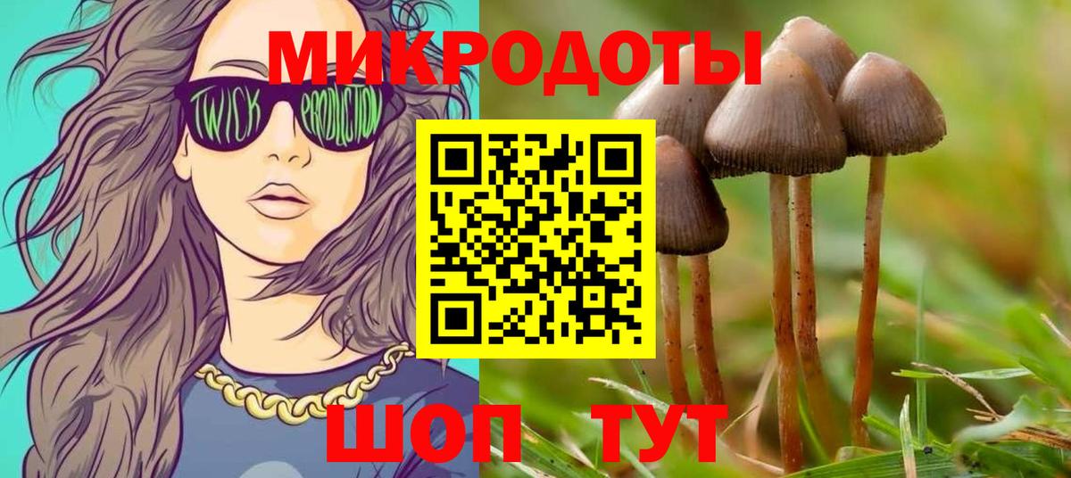 Кольчугино  Псилоцибиновые грибы мухоморы  Вход с VPN 