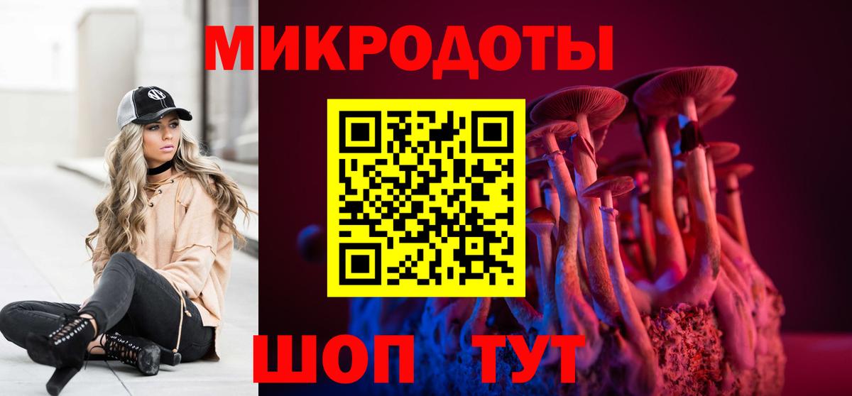 Псилоцибиновые грибы Psilocybine cubensis Кольчугино